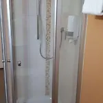 布鲁萨特伽尼酒店 3* 加爾米施-帕滕基興