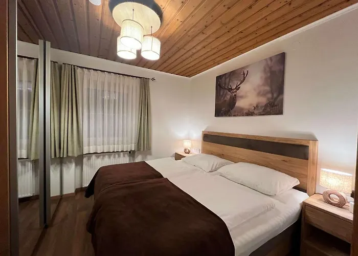 酒店 布鲁萨特伽尼酒店