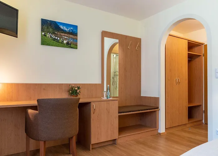 酒店 布鲁萨特伽尼酒店 3*