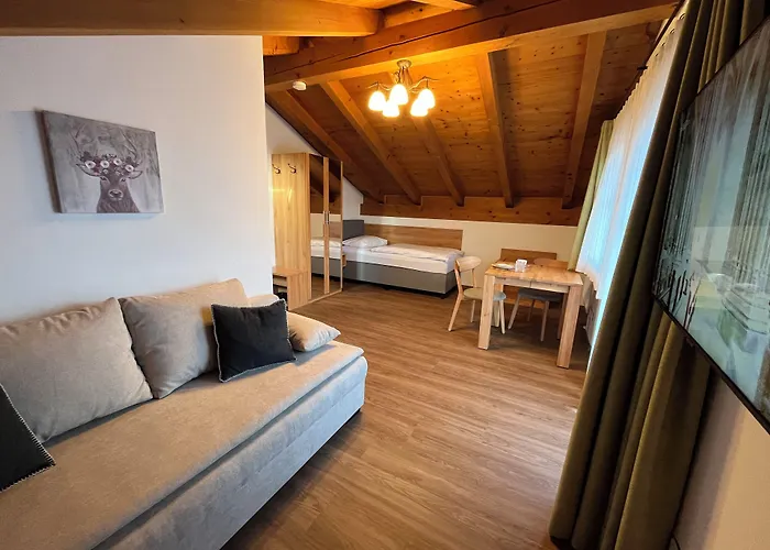 布鲁萨特伽尼酒店 酒店 加爾米施-帕滕基興